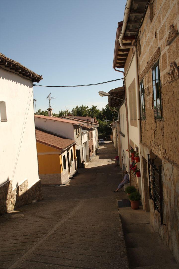 Fotografía de la galería de imágenes con id: 830
